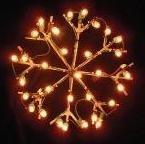 Lighted Snowflake